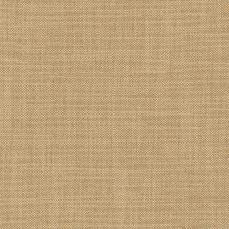 Brookings Sand by Carole Fabric Enterprise 100% Polyester India 15,000 Wyzenbeek Double Rubs </p><p>Repeat: None 55" - Fabric Carolina -