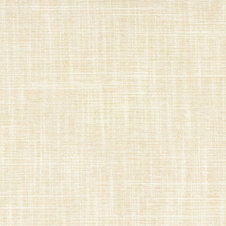 Big Thinker Bisque by Carole Fabric Power Play 100% Polyester N/A None 55" - Fabric Carolina -