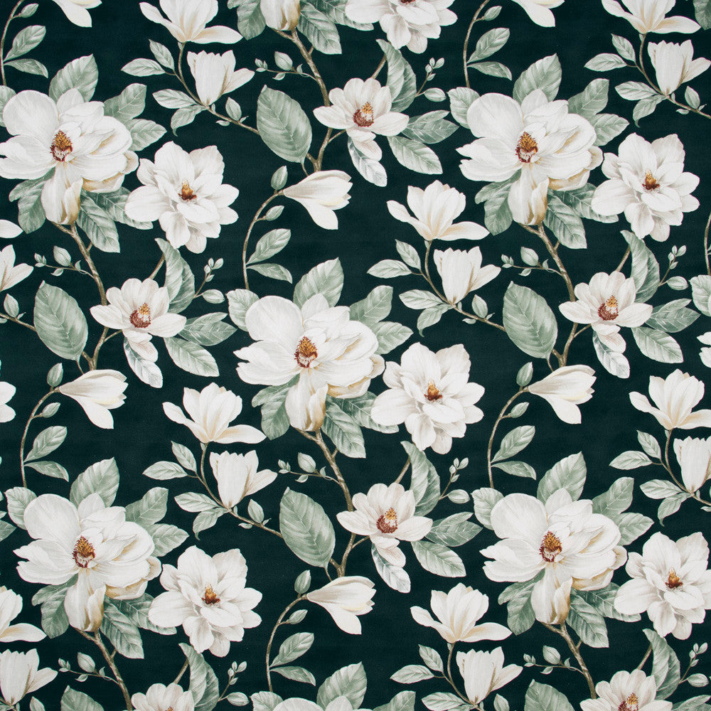 Magnolia Garden Noir by Carole Fabric Birch 100% Cotton Spain Passes 15,000 Double Rubs Wyzenbeek Horizontal: 27 and Vertical: 25 54 - Fabric Carolina -
