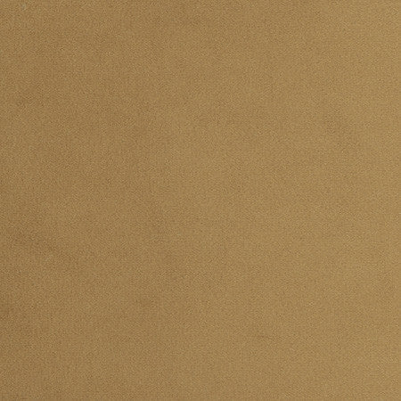 Plush Touch Camel by Carole Fabric Touch Of Luxury 100% Polyester Knit Backing China 235,000 Wyzenbeek Double Rubs Horizontal: None and Vertical: None 55" - Fabric Carolina -