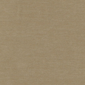 Warm Up Caramel by Carole Fabric
