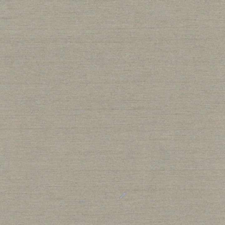 Northwind Smoke by Carole Fabric New Northwind Iv 100% Polyester India Passes 9,000 Double Rubs Wyzenbeek Horizontal: 0 and Vertical: 0 54 - Fabric Carolina -