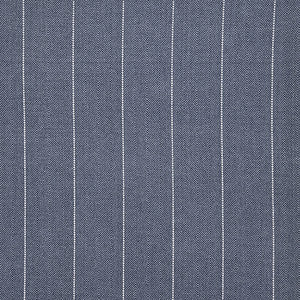 Bluesy Stripe Denim by Carole Fabric