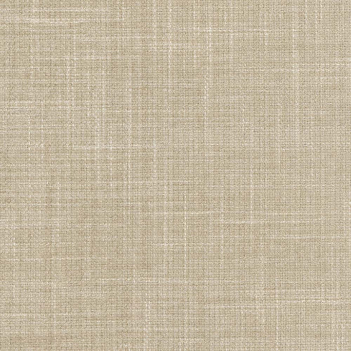 Temptress Limestone by Carole Fabric Temptress 78% Polyester, 22% Cotton India Passes 100,000 Double Rubs Wyzenbeek Horizontal: 0 and Vertical: 0 54 - Fabric Carolina -