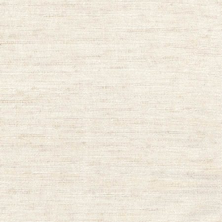 Training Day Natural by Carole Fabric Toasted Almond 92% Polyester, 8% Cotton INDIA N/A None 54"  - Fabric Carolina -