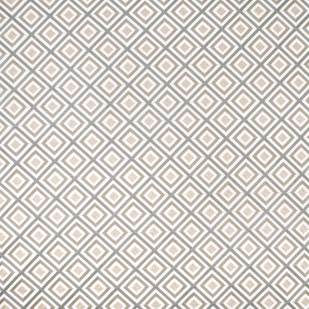 Time Will Tell Metallic by Carole Designer Fabric SILVER FOX 52% Cotton, 48% Polyester India Passes 30,000 Double Rubs Wyzenbeek Horizontal: 4 5/8" and Vertical: 4 5/8" V 51" - Swanky Fabrics -