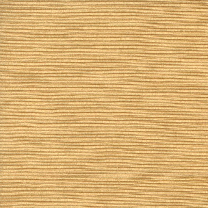 First Novel Straw by Carole Fabric Stationery 72% Rayon, 28% Polyester China Passes 30,000 Double Rubs Wyzenbeek Horizontal: 0 and Vertical: 0 55 - Fabric Carolina -