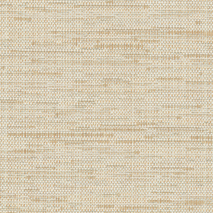 Cliff Top Hemp by Carole Fabric Excursion 66% Polyester, 34% Cotton India 36,000 Wyzenbeek Double Rubs Horizontal: 0 and Vertical: 0 56 - Fabric Carolina -