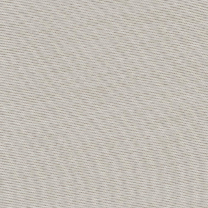 Just So Steel by Carole Fabric Sheer Structure 100% Polyester Turkey N/A Horizontal: 0 and Vertical: 0 118 - Fabric Carolina -