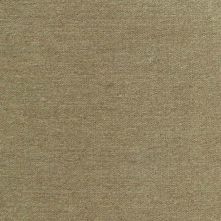 Total Dream Moss by Carole Designer Fabric First Class 100% Polyester-Softened TURKEY None 54" - Swanky Fabrics -