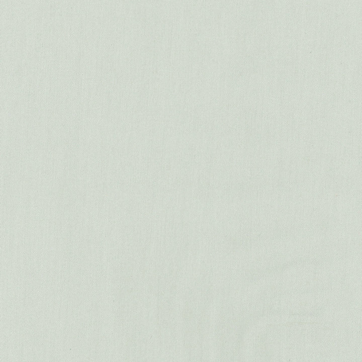 Comfort Mint by Carole Fabric Daydreaming 100% Cotton India Passes 21,000 Double Rubs Wyzenbeek Horizontal: 0 and Vertical: 0 54 - Fabric Carolina -