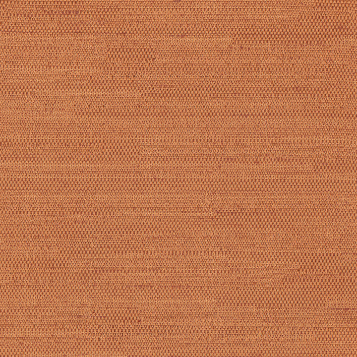 Aiden Burnt Orange by Carole Fabric Scarlet 100% Polyester India N/A Horizontal: 0 and Vertical: 0 54 - Fabric Carolina -