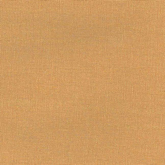 Succulent Gold by Carole Fabric Succulent 100% POLYESTER INDIA N/A Horizontal: None and Vertical: NONE 54" - Fabric Carolina -