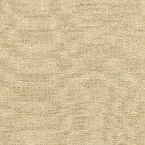 Training Day Sand by Carole Fabric
