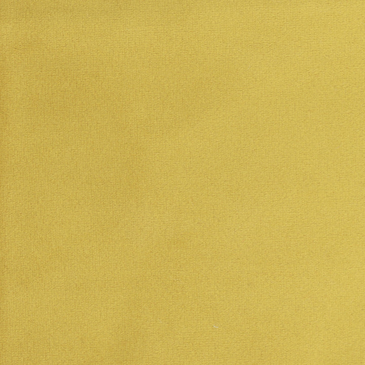 Plush Touch Brass by Carole Fabric Touch Of Luxury 100% Polyester Knit Backing China 235,000 Wyzenbeek Double Rubs Horizontal: 0 and Vertical: 0 55 - Fabric Carolina -