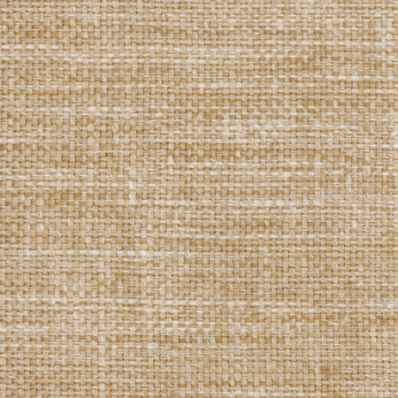 Lazarus Tuscan by Carole Fabric Prominence 54% Cotton, 46% Polyester India  None 54"  - Fabric Carolina -