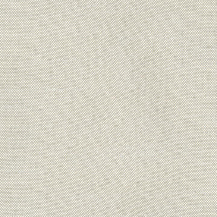 Fleeting Dove by Carole Fabric Royale 100% Polyester India Passes 50,000 Double Rubs Wyzenbeek Horizontal: 0 and Vertical: 0 54 - Fabric Carolina -