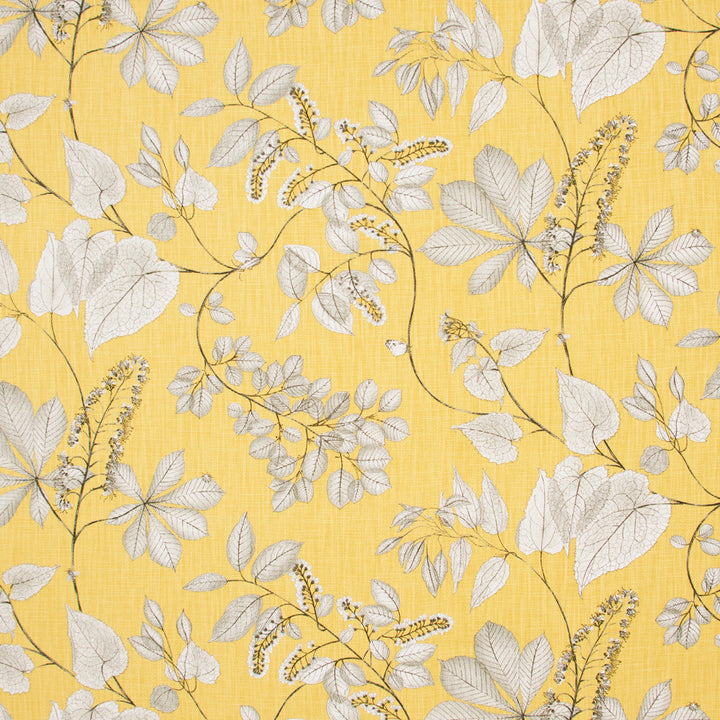 Belong Together Citrine by Carole Fabric Lemongrass 100% Cotton-SSR Printed & Finished in USA Passes 15,000 Double Rubs Wyzenbeek Horizontal: 27 and Vertical: 27 54 - Fabric Carolina -