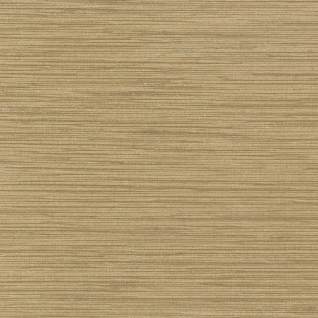 Optimism Wheat by Carole Designer Fabric Synchrony 100% IFR Polyester India 5,000 Wyzenbeek Double Rubs None 54" - Swanky Fabrics -