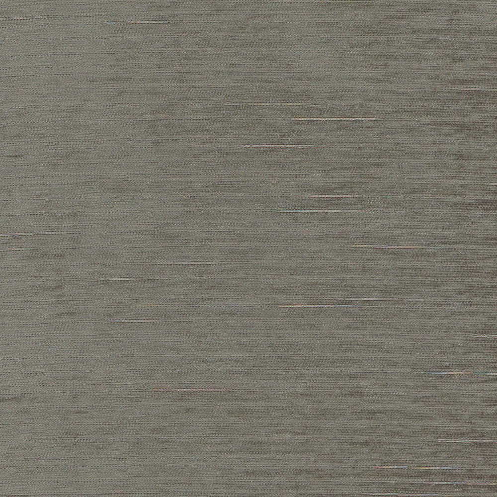 Stay Here Charcoal by Carole Fabric Birch 100% Polyester China N/A Horizontal: 0 and Vertical: 0 55 - Fabric Carolina -