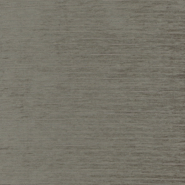 Stay Here Charcoal by Carole Fabric Birch 100% Polyester China N/A Horizontal: 0 and Vertical: 0 55 - Fabric Carolina -