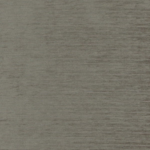 Stay Here Charcoal by Carole Fabric