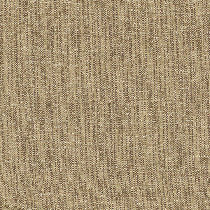 Rock Wall Toffee by Carole Fabric Chestnut 83% Polyester, 12% Cotton, 5% Rayon India N/A Horizontal: 0 and Vertical: 0 55 - Fabric Carolina -