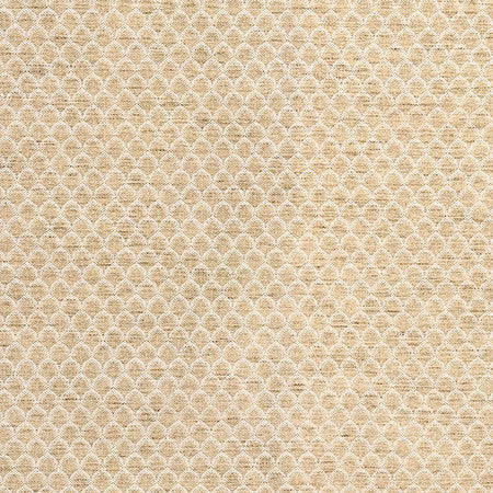 Tip The Scales Earth by Carole Fabric Form & Texture 53% Cotton, 47% Polyester 35,000 Martindale Circular Rubs 1" V, 3/4" H 54" - Fabric Carolina -