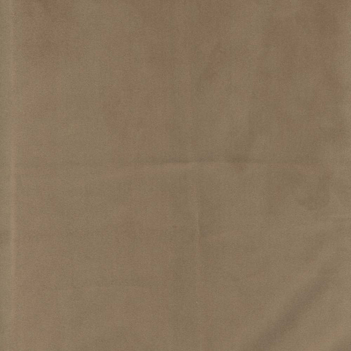 Presence Khaki by Carole Fabric Velvet Touch 100% Polyester China Passes 30,000 Double Rubs Wyzenbeek Horizontal: 0 and Vertical: 0 55 - Fabric Carolina -