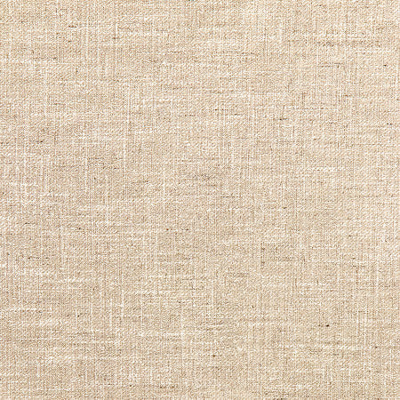Astounding Sand by Carole Fabric Best Dressed 53% Cotton, 47% Polyester 15,000 Wyzenbeek Double Rubs None 54" - Fabric Carolina -