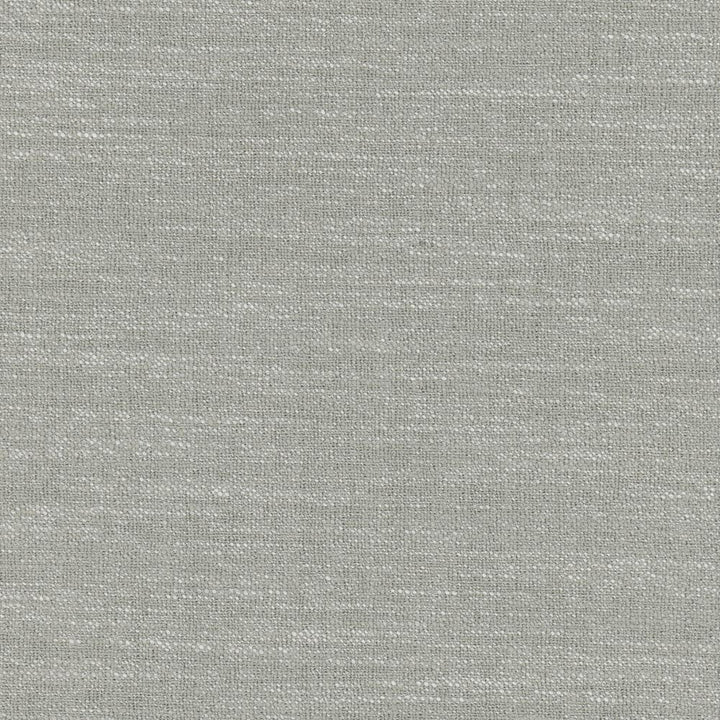 Say Yes Glacier by Carole Fabric Winner'S Circle 78% Polyester, 22% Viscose India N/A Horizontal: 0 and Vertical: 0 55 - Fabric Carolina -
