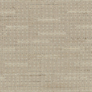 Banksville Biscotti by Carole Fabric