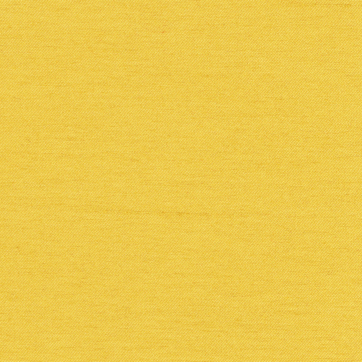 Northwind Maize by Carole Fabric New Northwind Iv 100% Polyester India Passes 9,000 Double Rubs Wyzenbeek Horizontal: 0 and Vertical: 0 54 - Fabric Carolina -