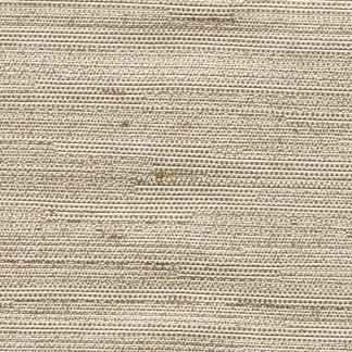 Aiden Natural by Carole Fabric Subtle Hints,Aiden Gallery 100% Polyester INDIA PASSES 30,000 DOUBLE RUBS WYZENBEEK Horizontal: 0" and Vertical: 0" 56" - Fabric Carolina -
