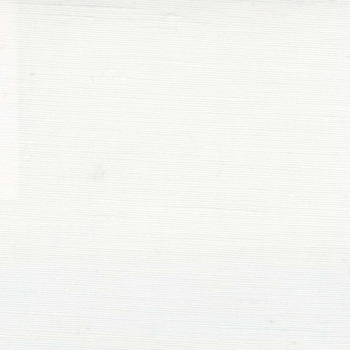 Lydia Snow by Carole Fabric Lydia Ii 100% Polyester India N/A Horizontal: 0 and Vertical: 0 54 - Fabric Carolina -