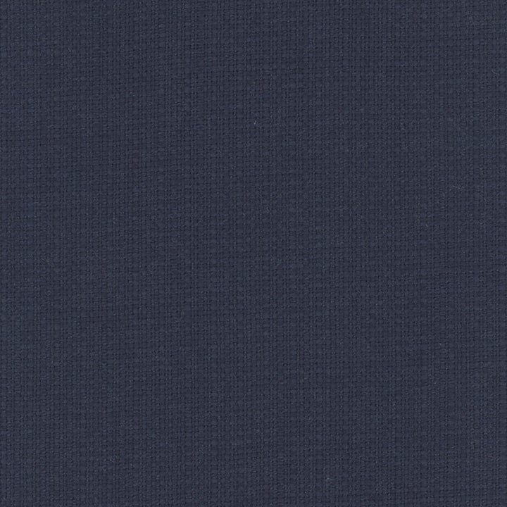 Narration Celestial by Carole Fabric Narrator 100% Polyester Mexico Passes 30,000 Double Rubs Wyzenbeek Horizontal: 0 and Vertical: 0 54 - Fabric Carolina -