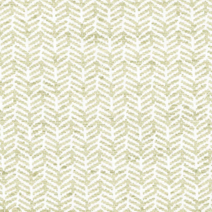 Get Moving Stem by Carole Fabric Wintermint 63% Cotton, 37% Polyester India 100,000 Wyzenbeek Double Rubs Horizontal: 1.75 and Vertical: 1 54.25 - Fabric Carolina -