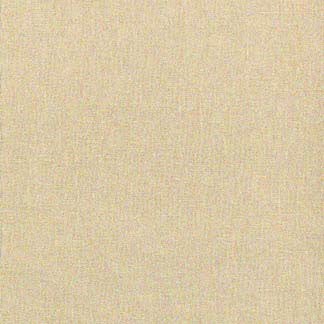 Sashay Linen by Carole Fabric Sashay 100% POLYESTER FR India Passes 25,000 Double Rubs Wyzenbeek Horizontal: 0" and Vertical: 0" 54" - Fabric Carolina -