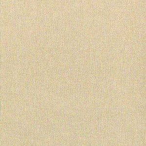 Sashay Linen by Carole Fabric