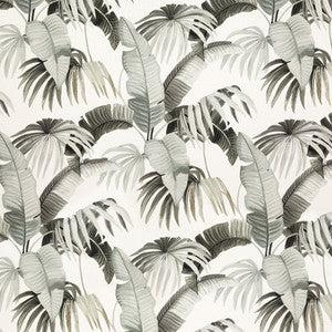 On Tropic Graphite by Carole Fabric