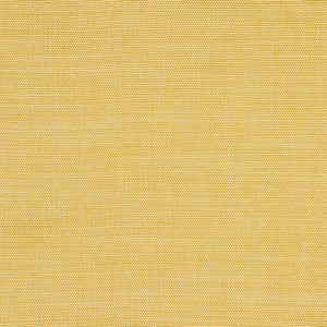 Boardroom Dandelion by Carole Fabric