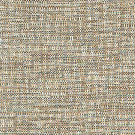 Cliff Top Bronze by Carole Designer Fabric Excursion 66% Polyester, 34% Cotton India None 56" - Swanky Fabrics -