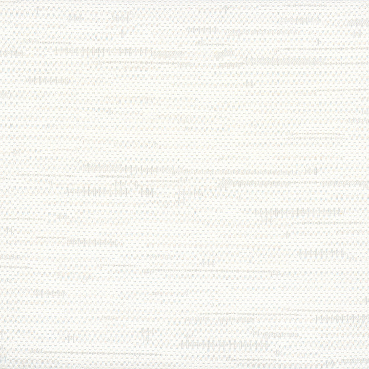Cliff Top White by Carole Fabric Excursion 66% Polyester, 34% Cotton India 36,000 Wyzenbeek Double Rubs Horizontal: 0 and Vertical: 0 56 - Fabric Carolina -