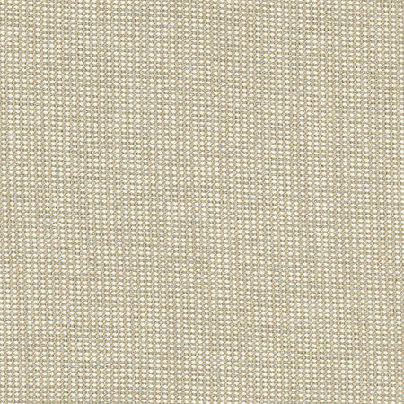 Dead Ringer Oyster by Carole Fabric Skyscraper 90% Bamboo, 5% Linen, 5% Zari India N/A Horizontal: None and Vertical: None 54" - Fabric Carolina -