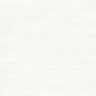 Aiden Off White by Carole Fabric Subtle Hints,Aiden Gallery 100% Polyester INDIA PASSES 30,000 DOUBLE RUBS WYZENBEEK Horizontal: 0" and Vertical: 0" 56" - Fabric Carolina -