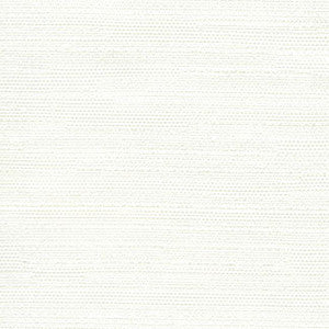 Aiden Off White by Carole Fabric