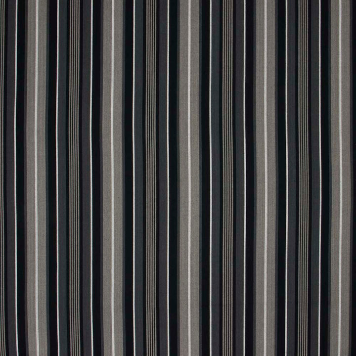 Sheet Music Charcoal by Carole Fabric In Tune 100% Cotton India N/A Horizontal: 9 and Vertical: 0 54 - Fabric Carolina -