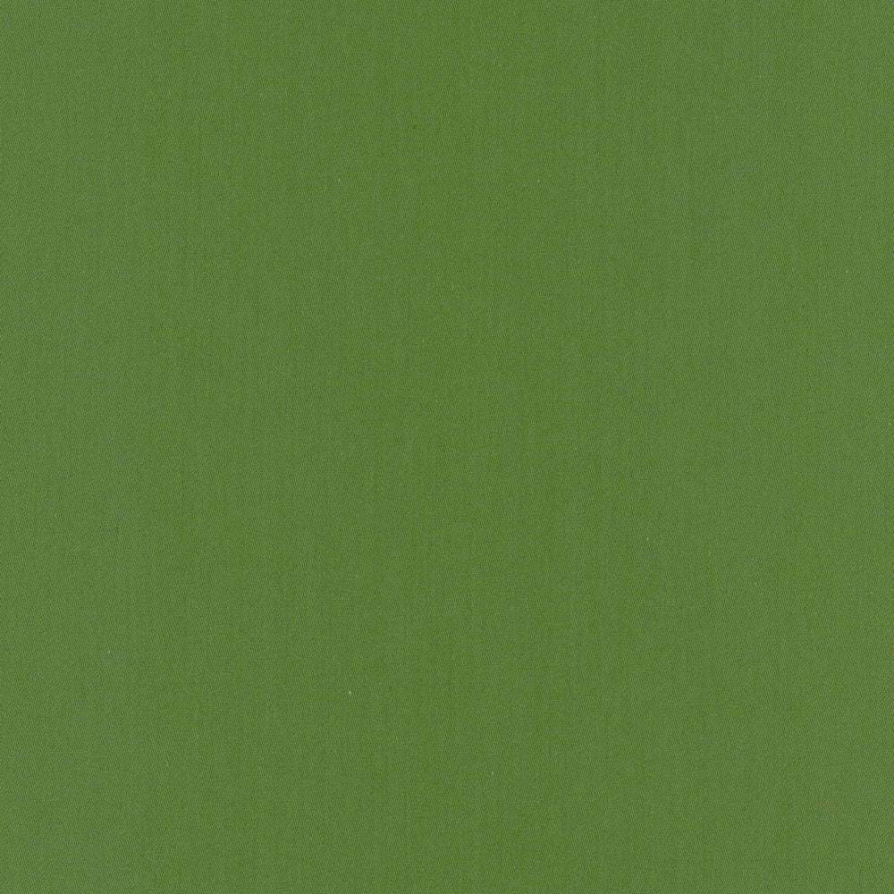 Comfort Kelly by Carole Fabric Daydreaming 100% Cotton India Passes 21,000 Double Rubs Wyzenbeek Horizontal: 0 and Vertical: 0 54 - Fabric Carolina -