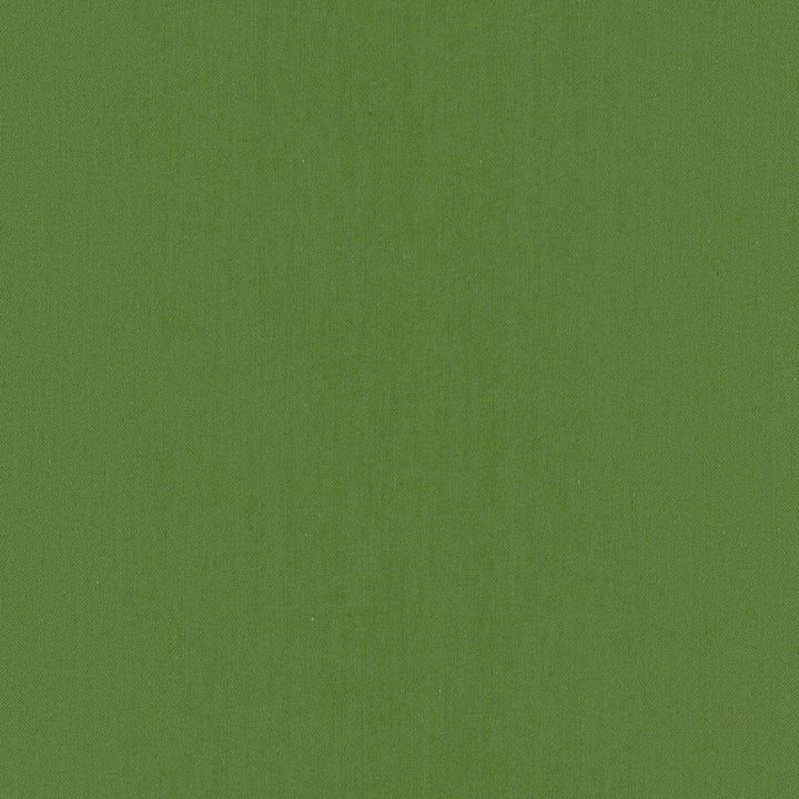 Comfort Kelly by Carole Fabric Daydreaming 100% Cotton India Passes 21,000 Double Rubs Wyzenbeek Horizontal: 0 and Vertical: 0 54 - Fabric Carolina -