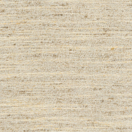 Pop Fly Ivory by Carole Fabric Texture Theory,Let's Mingle 100% Polyester India N/A None 57"  - Fabric Carolina -
